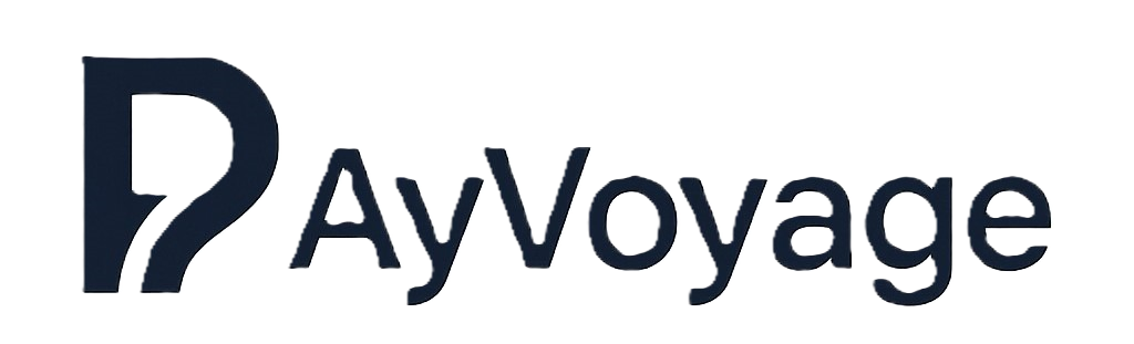 PayVoyage logo